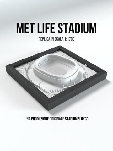Met Life Stadium